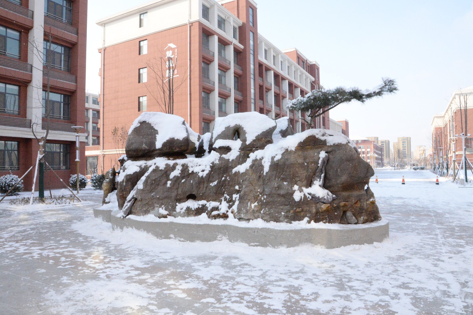 DSC_1854.JPG